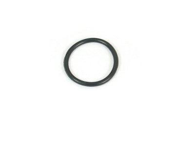 Cam Tensioner Bolt O-ring